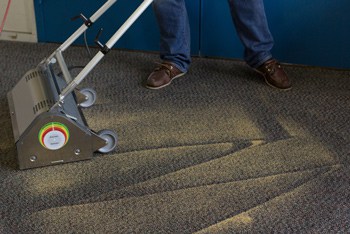 Dry deals carpet cleaner